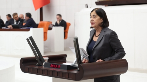 CHP Eskişehir Milletvekili Jale Nur Süllü: Kurda kuzu emanet ediliyor